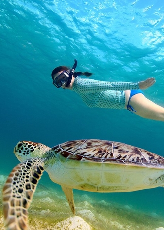 Snorkeling